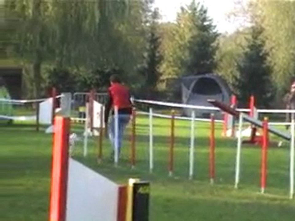 23 10 2011 Agility Montigny - Donnie - Open