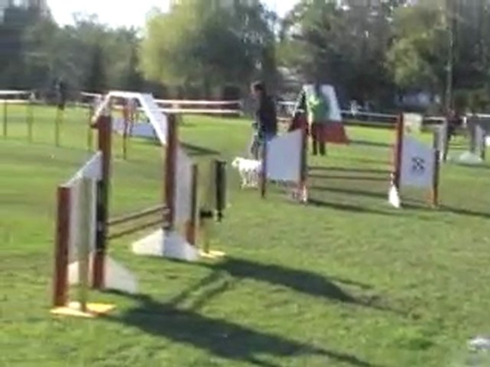 23 10 2011 Agility Montigny - Donnie - 1er degré