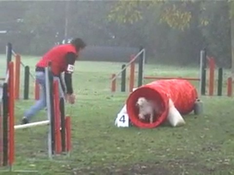 23 10 2011 Agility Montigny - Donnie Jumping