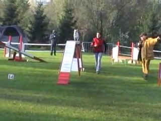 23 10 2011 Agility Montigny - Vodka - Open