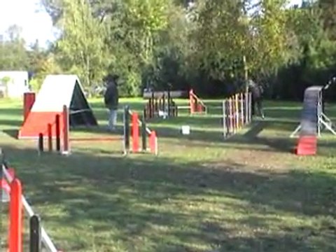 23 10 2011 Agility Montigny - Sabine et Caly - GPF