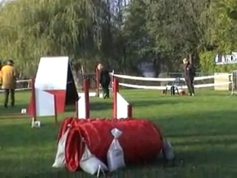 23 10 2011 Agility Montigny - Sabine et Caly - Open