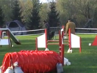 23 10 2011 Agility Montigny - Buddy - Open