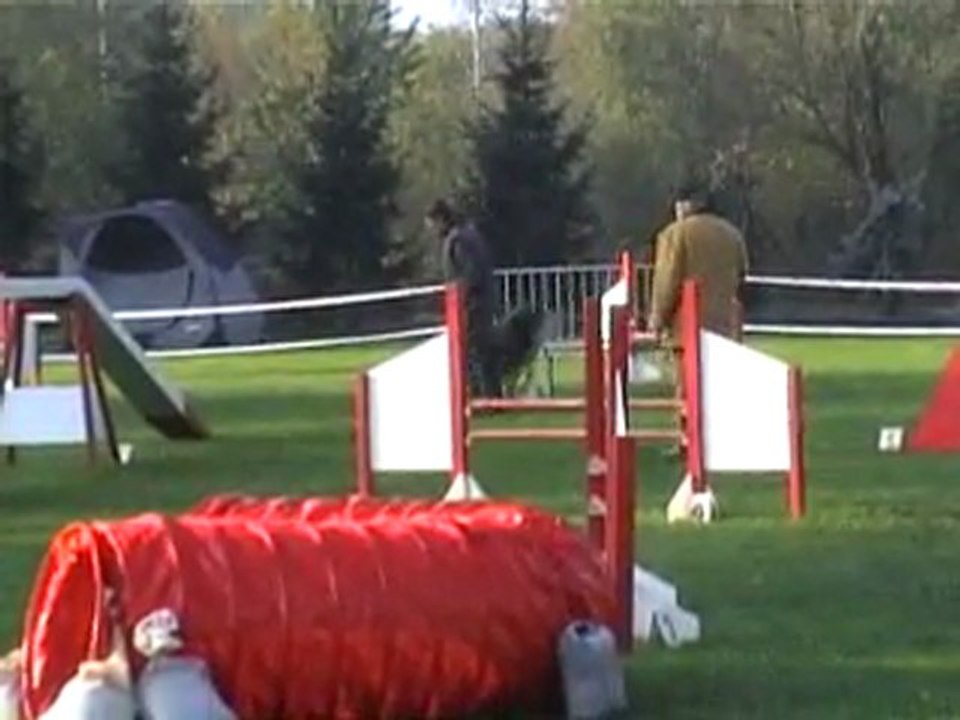 23 10 2011 Agility Montigny - Buddy - Open
