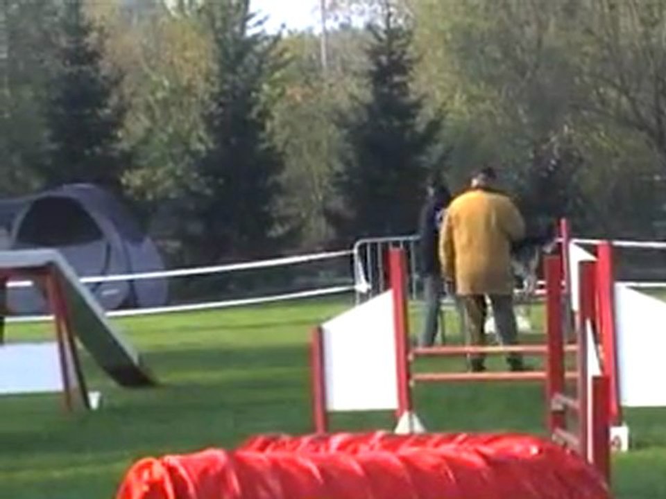 23 10 2011 Agility Montigny - Charly - Open