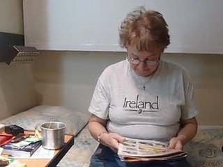 V02- Vue du tangage dans la cabine