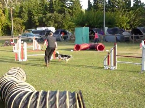 Brownie - Jumping+ Miramas 16.10.11