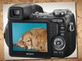 Sony Cybershot DSC-H5 7.2MP Digital Camera with 12x ...