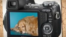 Sony Cybershot DSC-H5 7.2MP Digital Camera with 12x ...