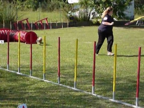 Funambule - 1er degre Miramas 16.10.11