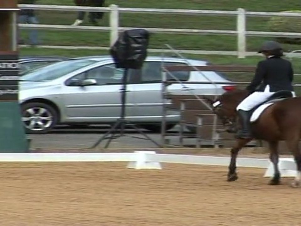 Tanaelle Pompadour 4 ans DRESSAGE 16.09.11