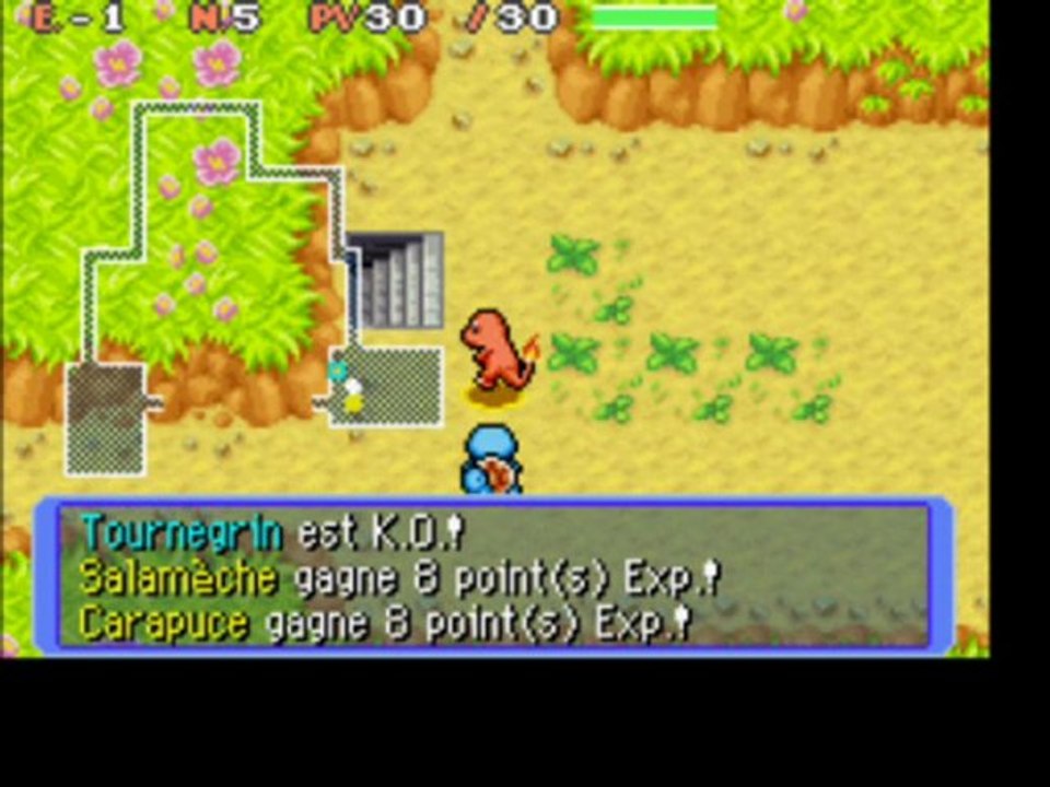 Pokémon Donjon Mystère EdS Rouge 2) Le Petit Bois