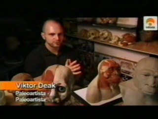 Evolucion: El homo erectus