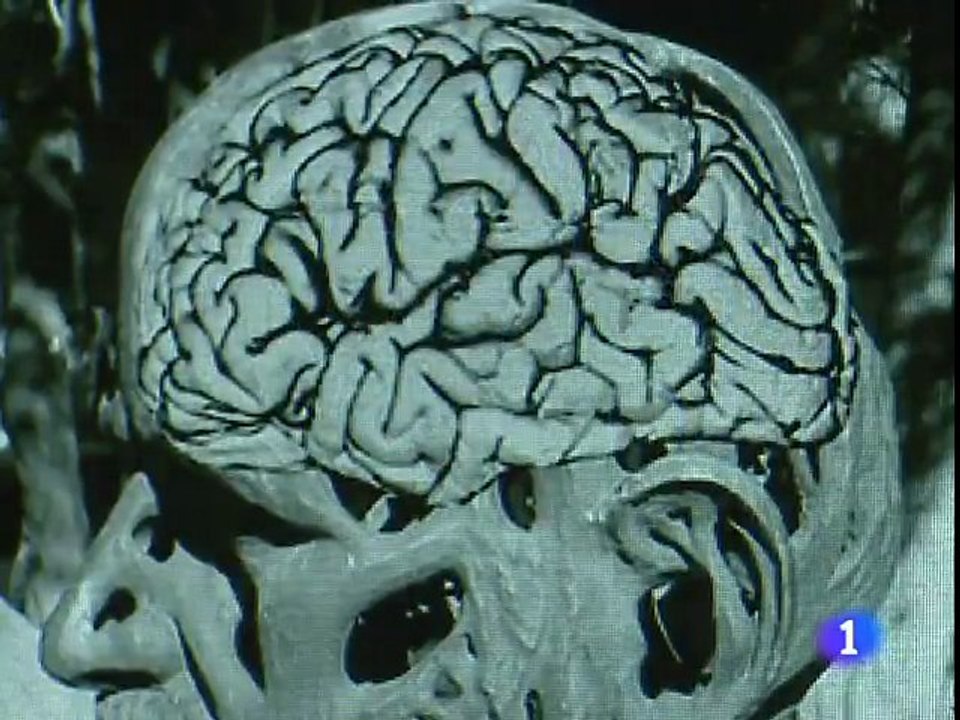 Howard Gardner: Inteligencias multiples (Premio Principe de Asturias)