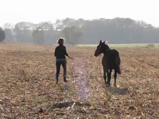 Ne me quitte pas ♫ !