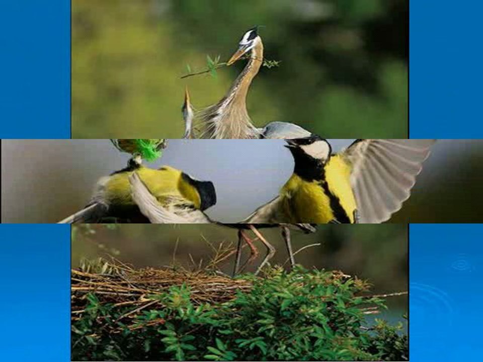 TETE A TETE MAGNIFIQUE_16mars 2010