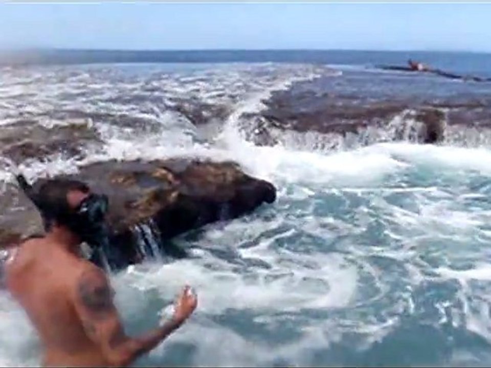 Shark's Cove Cave Dive