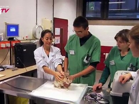 Faculté de Médecine Vétérinaire - Université de Liège