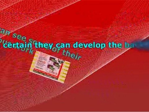 Top notch Web Design Plus Webhosting and search engine ranking optimization Skills