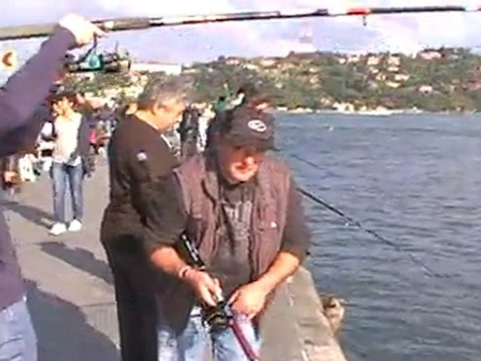 OLTACILAR