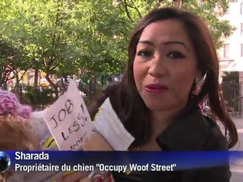 A New York, les chiens aussi ont leur Halloween