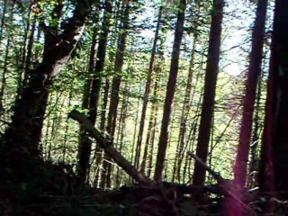 airsoft octobre 2011 reconstitution