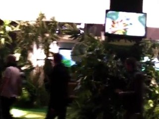 Début des hostilités...