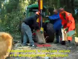 Le Conseil général donne un coup de pouce pour l'emploi