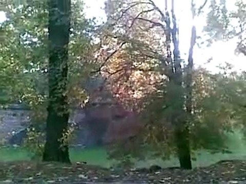 Chcę testować z Orange telefon HTC Mozart