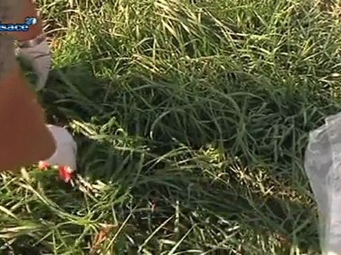 Fessenheim: les contrôles de radioactivité fiables?