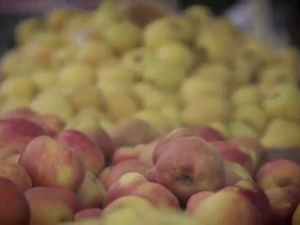 Louis Vuitton City Guide 2011 - New York, la Grosse Pomme (Version française)
