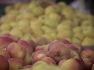 Louis Vuitton City Guide 2011 - New York, the Big Apple (English Version)