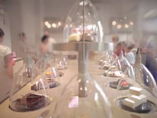 Louis Vuitton City Guide 2011 - Paris, le Saint-Honoré (Version française)