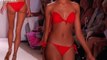 Perfect Tan Bikini - Miami Swim 2012 - Bikini Models | FTV
