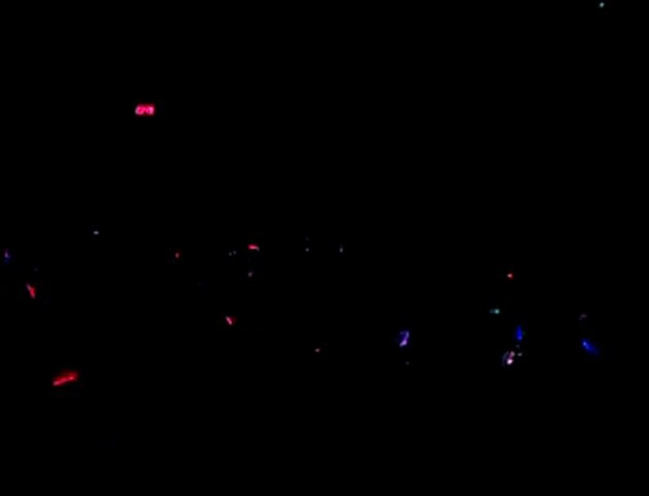 Bâton fluo