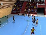 IHF Handball Challenge 12 - Fonctionnalités
