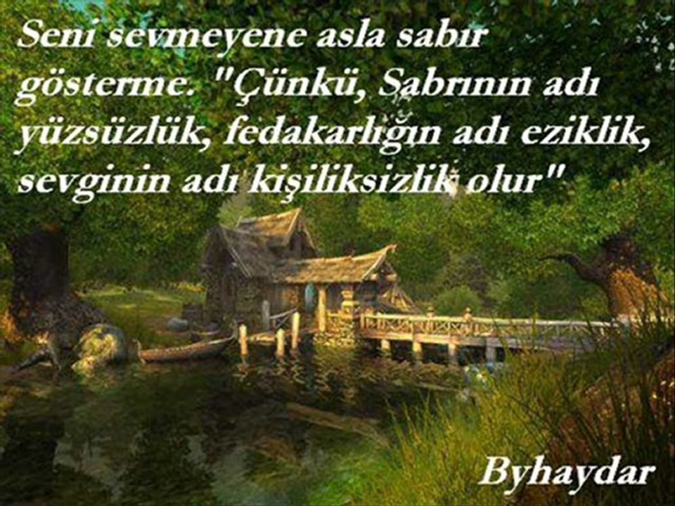 SeNi Severdim
