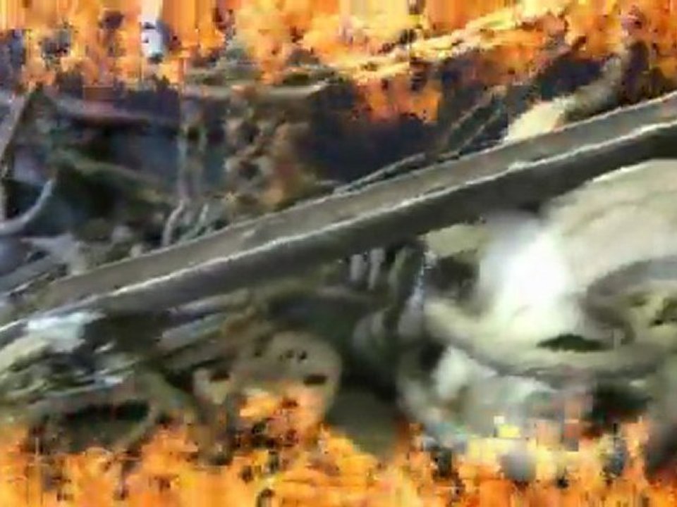 In Memory Of Dimebag Darrell (Pantera) by Fieraria lui Cretu