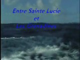 entre st lucie et les grenadines video