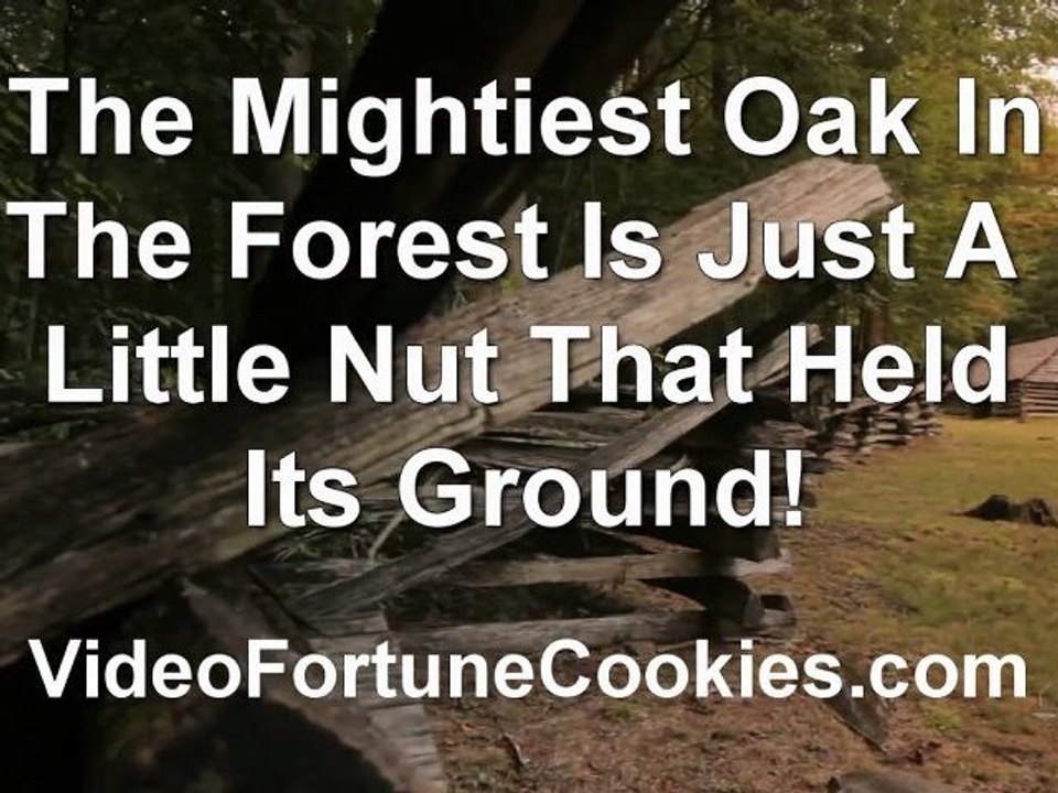 Mighty Oak - Video Fortune Cookie