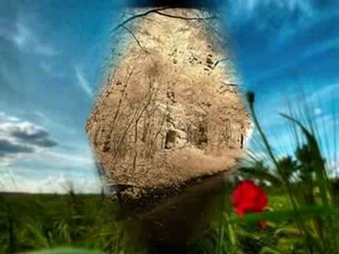 Bu Askın Adını Sen Koy