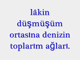 MEHTAB-I ARZU (şiir)