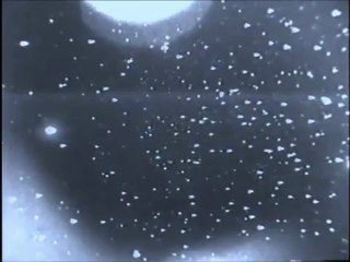 UFO .ARMADA .NASA SHUTTLE .06.2011