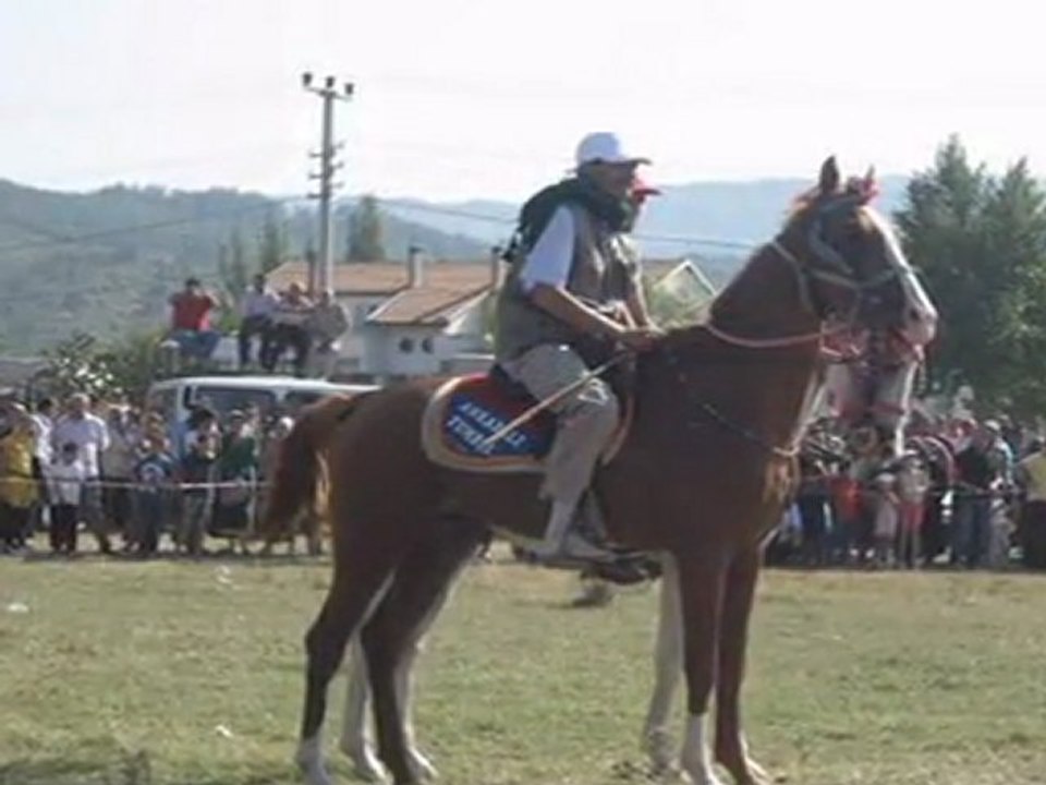 SINDIRGI AT SEVENLER DERNEĞİ....