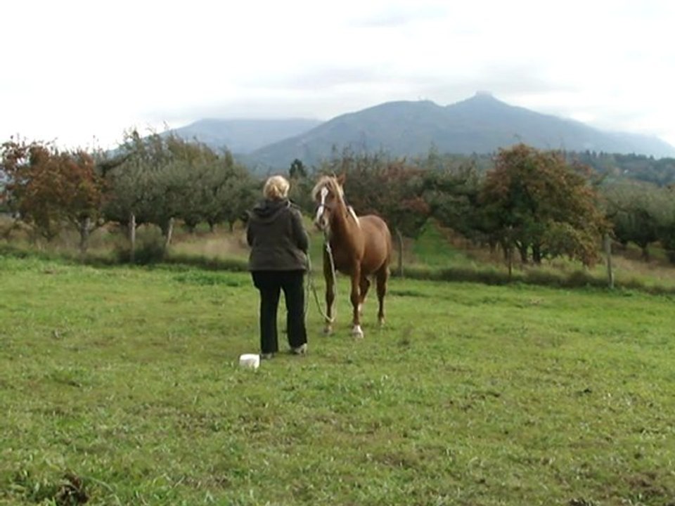 2011 - Charlotte et Anis