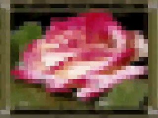 ANNEMİZ-HZ.FATIMA(Rad)-Kerbela_870-SÜPER İLAHİ-ABDURRAHMAN ÖNÜL HZ.FATIMA