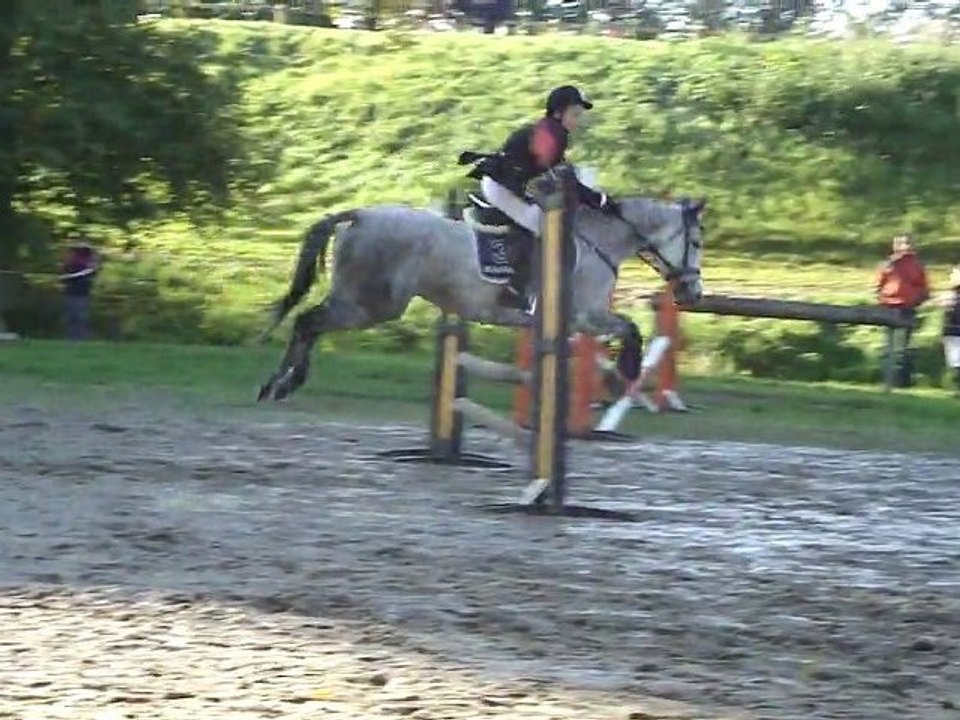 java poney3