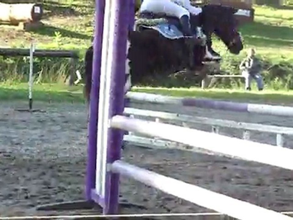 louxor poney 3