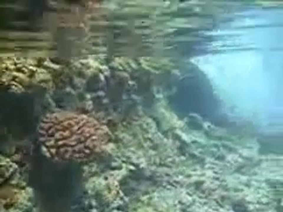la mer que j aime
