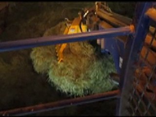 Balade en pont roulant